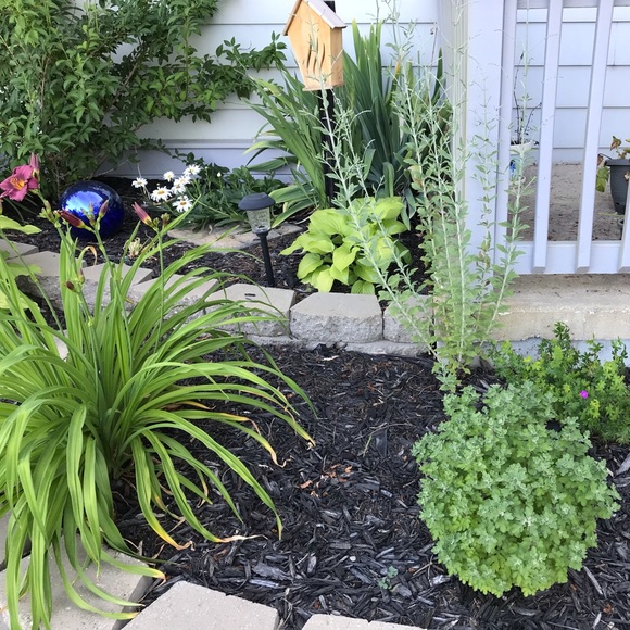 Meet your Posher, Tracey - Picture 8 of 8